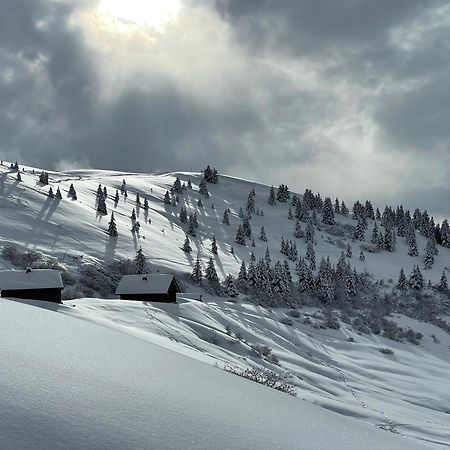 Chalet*** Au Pied D'Une Prairie Face A La Montagne Sixt エクステリア 写真