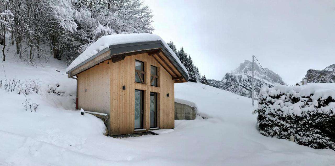 Chalet*** Au Pied D'Une Prairie Face A La Montagne Sixt エクステリア 写真
