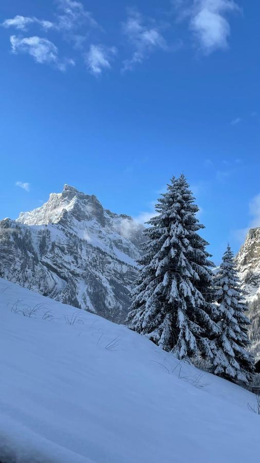 Chalet*** Au Pied D'Une Prairie Face A La Montagne Sixt エクステリア 写真