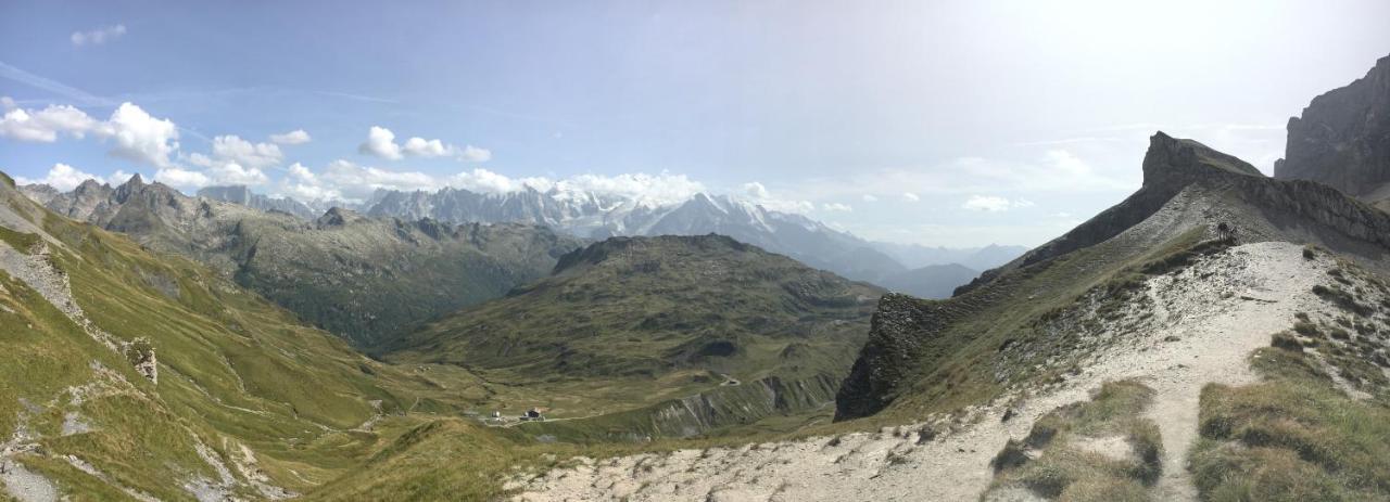 Chalet*** Au Pied D'Une Prairie Face A La Montagne Sixt エクステリア 写真