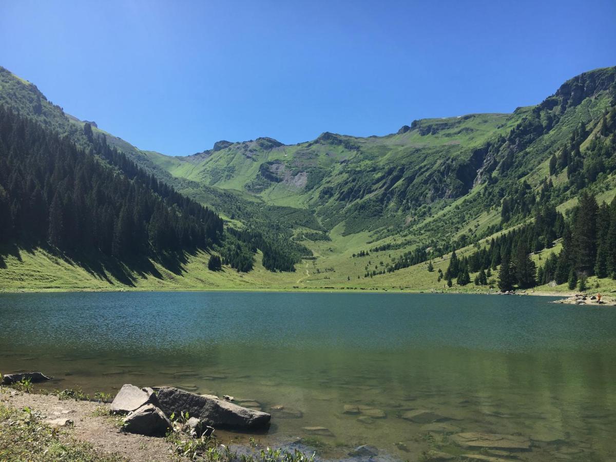 Chalet*** Au Pied D'Une Prairie Face A La Montagne Sixt エクステリア 写真