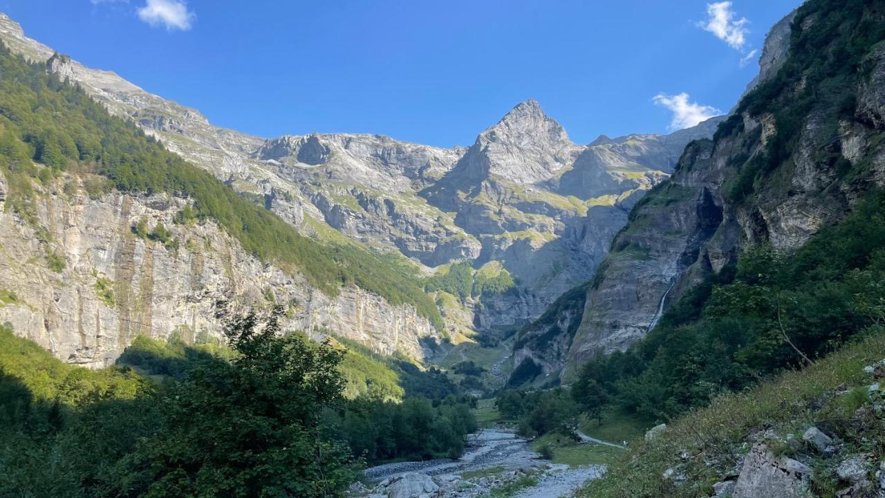 Chalet*** Au Pied D'Une Prairie Face A La Montagne Sixt エクステリア 写真