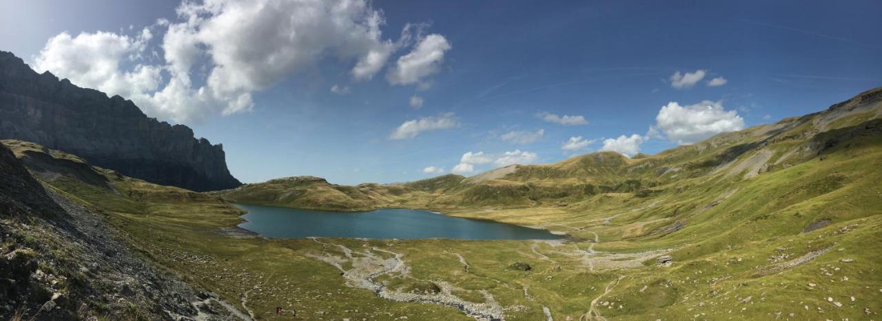 Chalet*** Au Pied D'Une Prairie Face A La Montagne Sixt エクステリア 写真