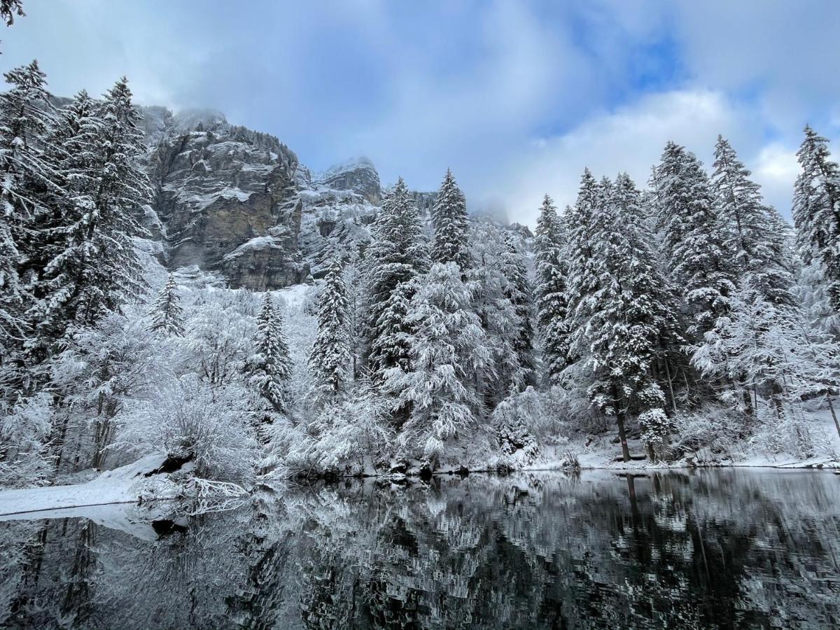 Chalet*** Au Pied D'Une Prairie Face A La Montagne Sixt エクステリア 写真