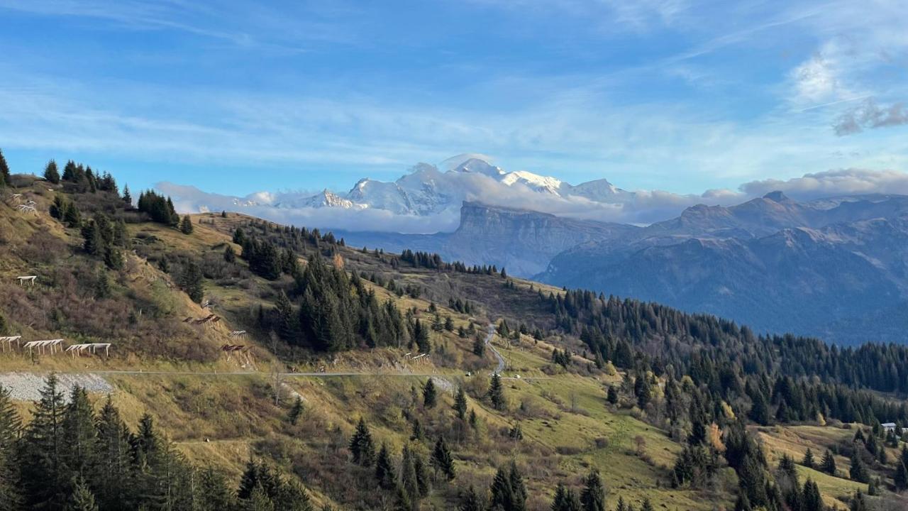 Chalet*** Au Pied D'Une Prairie Face A La Montagne Sixt エクステリア 写真