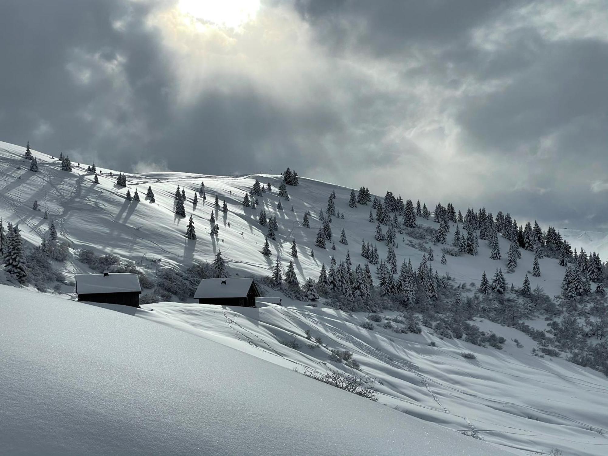 Chalet*** Au Pied D'Une Prairie Face A La Montagne Sixt エクステリア 写真